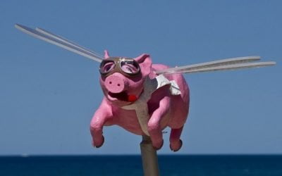 Pigs Can Fly!